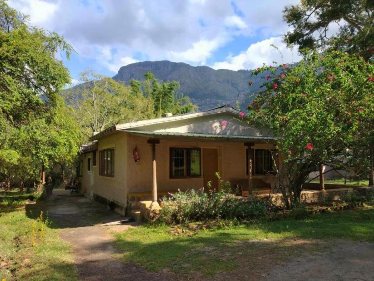 Jungle Hut Hotel Masinagudi Exterior photo