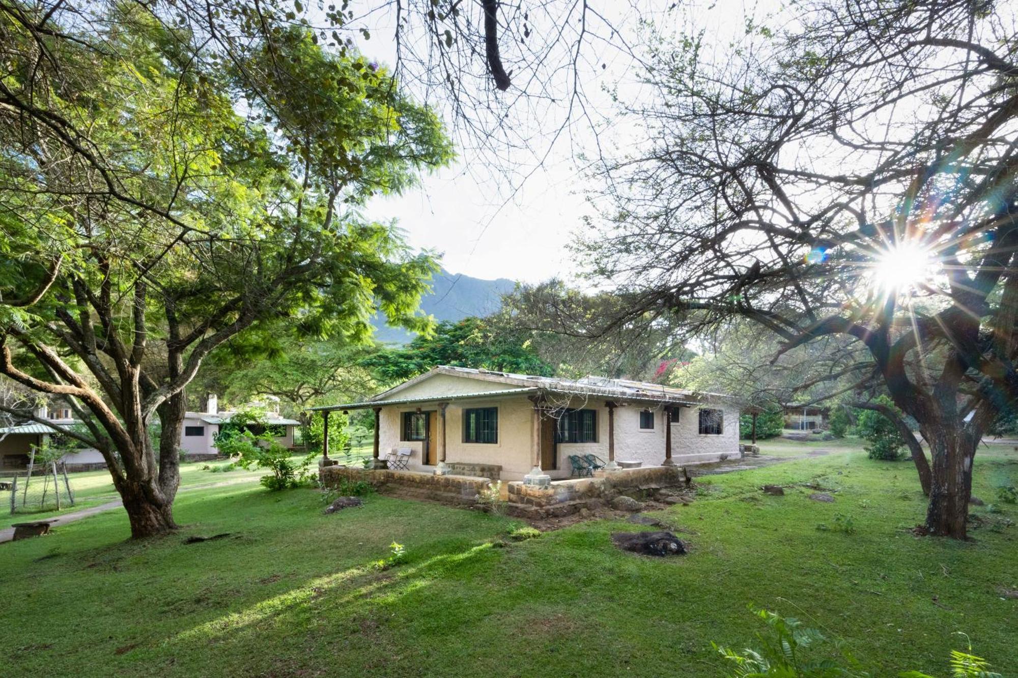 Jungle Hut Hotel Masinagudi Exterior photo