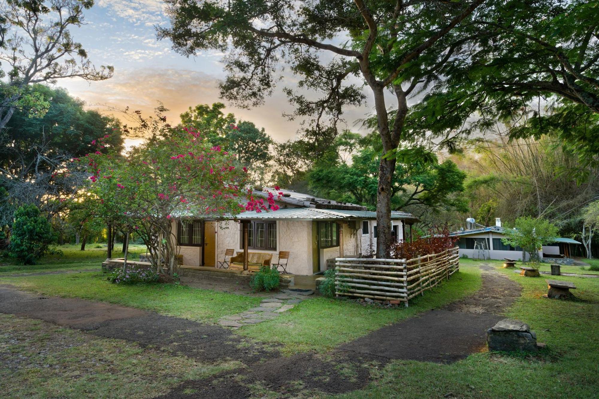 Jungle Hut Hotel Masinagudi Exterior photo