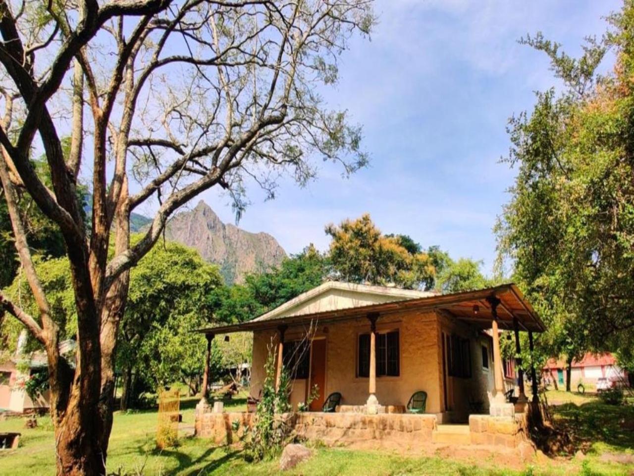 Jungle Hut Hotel Masinagudi Exterior photo